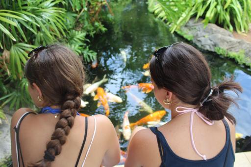 Day 5 - Travel day and Bike Tour 