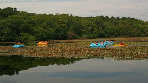 Week 7: August 11-15