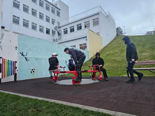 Day 07 - Icelandic farm & Waterfalls