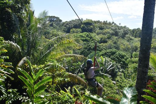 Day 3 - Service and Zip Line