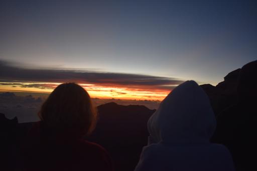 Hawaii Sea Turtle Service & Adventure (August 1-11)