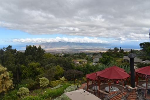 Hawaii Sea Turtle Service & Adventure 2 (July 7-17)