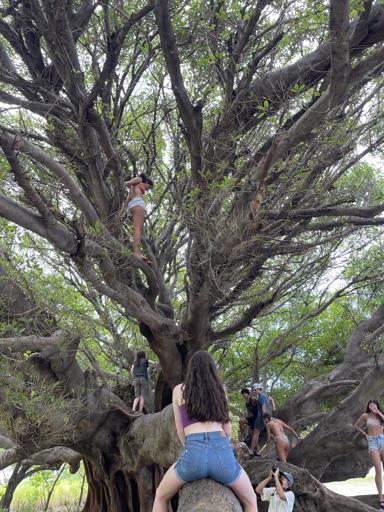 Day 14 - July 27 (Big Island)