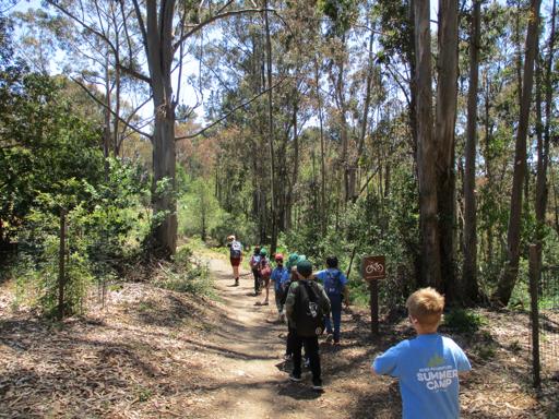 Survival Skills 2nd-4th