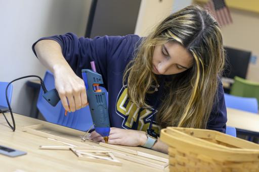 Civil Engineering Trusses (Honors Engineering )