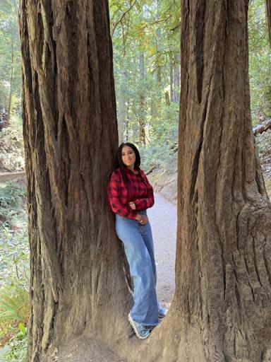 USA for Middle School: National Park Adventure & California (July 21-August 11)