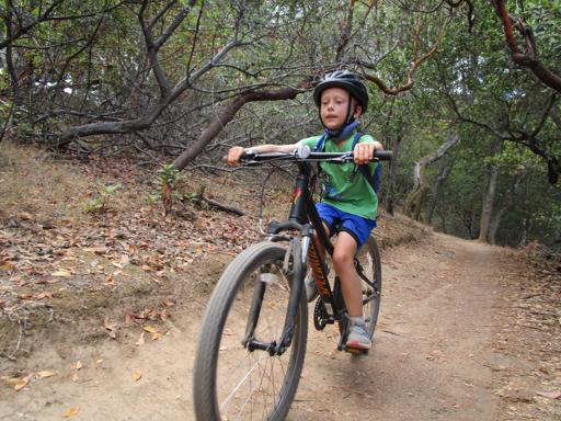 07/26/2021 - 07/30/2021