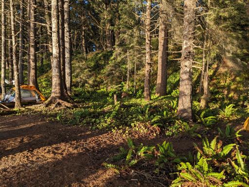Olympic Coast Backpacking (8/14)