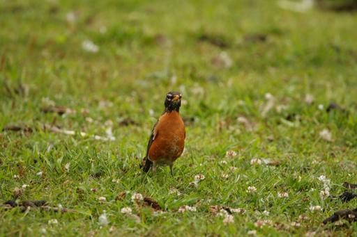 Wednesday - June 2nd