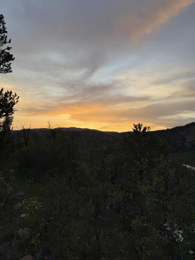 Upper School Interim 2025