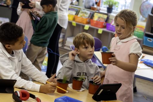 Grass Growth Experiment (10.9.24)