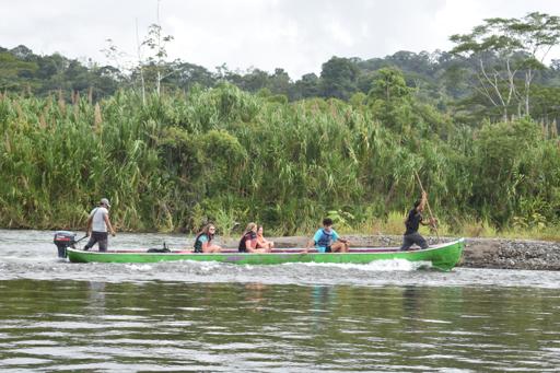 Costa Rica Animal Rescue Service 1 (July 2-22)