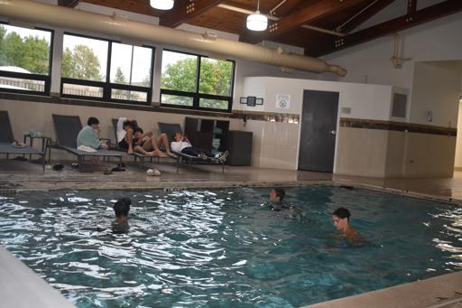 Day 8 - Dog Sledding