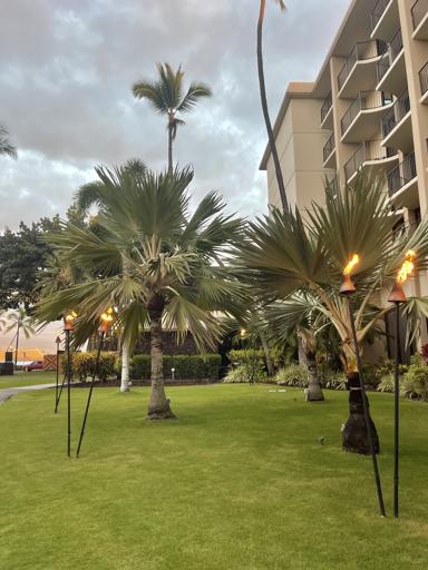 Day 4 - July 14 (Trees, Beaches, and Coffee)