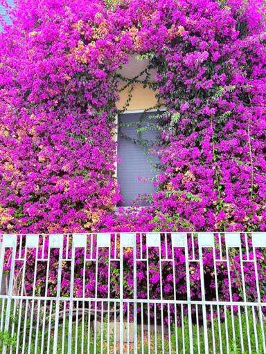 Day 6 - Cinque Terre