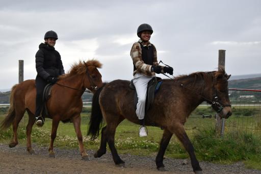 Day 6 - Icelandic Horseback Riding