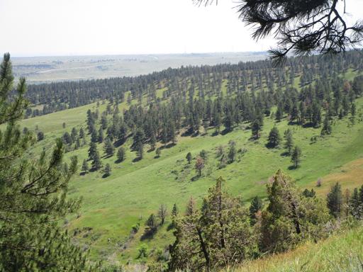 Survival Skills 2nd-4th