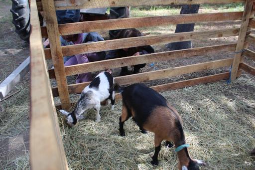Day 17 - Idaho Horseback Riding