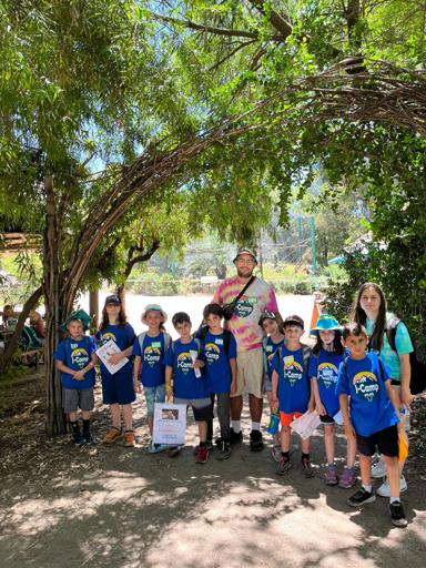 Yanshoofim (Owls) ינשופים - Tayasim 3rd Grade