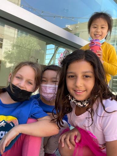 Harbor Seals- Traditional 1st Grade