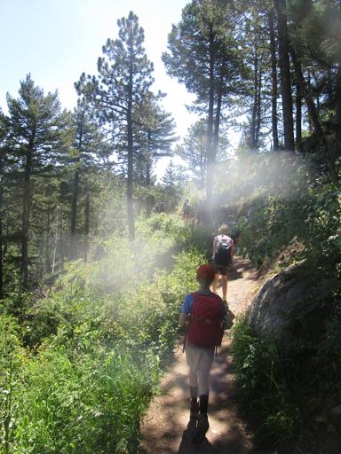 Survival Skills 5th-7th