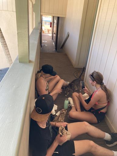 Day 5 - July 18 (Kauai)