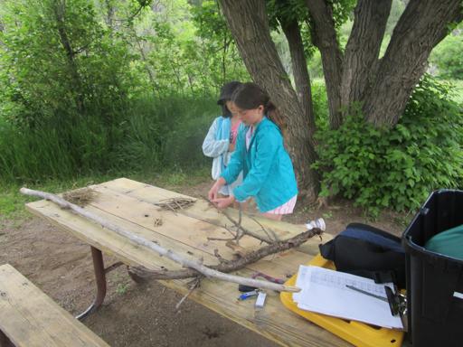 Survival Skills 5th-7th