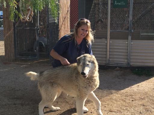 Animal Tracks Inc. 2014