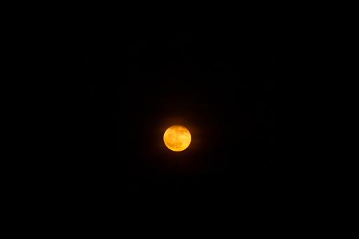 June 11th evening 
