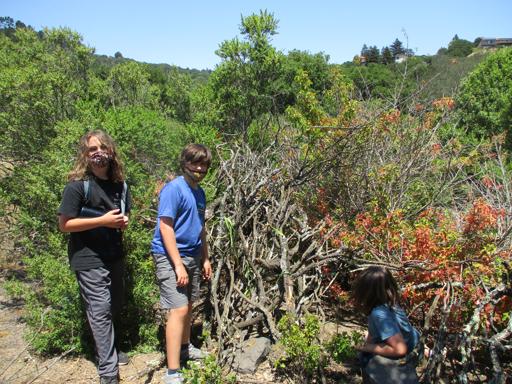 Survival Skills 5th-7th