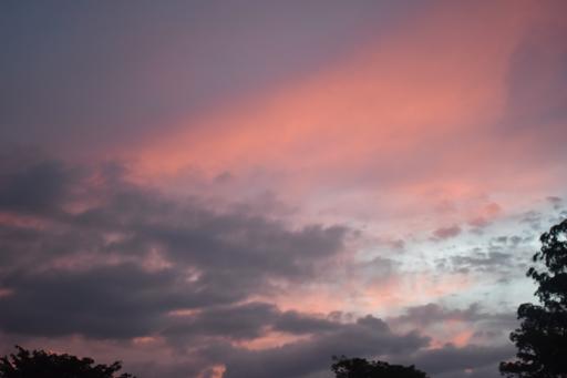 Costa Rica for Older Teens: Ultimate Adventure & Service (July 10-31)