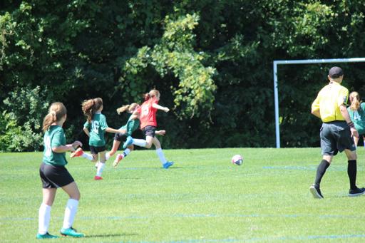 SAT / 11:30am / D2 vs D5