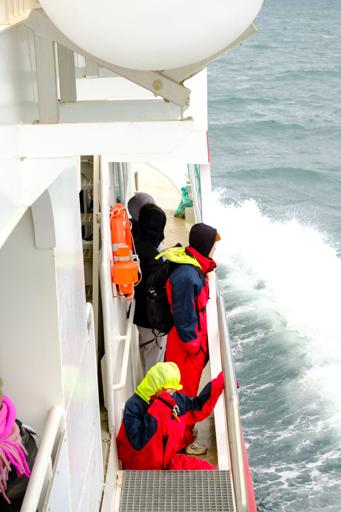 Day 08 - Turf House, Whale Watching & Frisbee