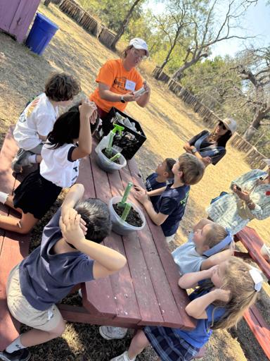 2025-10-02 | Kindergarten Field Trip to Sweet Berry Farms