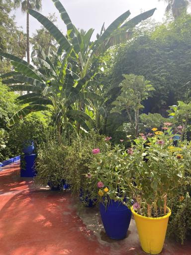 Day 13 - 7/24 Marrakesh