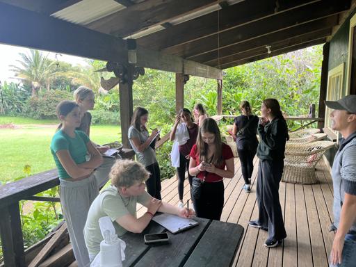 Day 14 - Big Island - Horseback Riding
