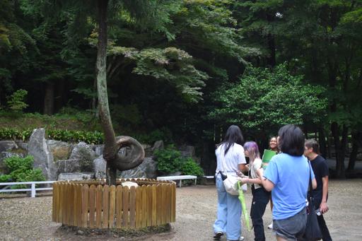 SKDS2-Day 6–Suncheon 19 July