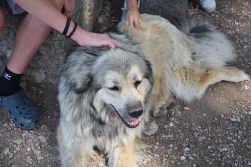 Day 14-Delphi/Lefkada-June 15