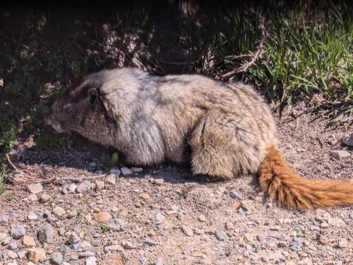 Mountaineering Photos
