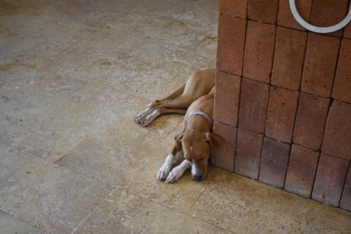 Day 7 - Playa Grande - July 2