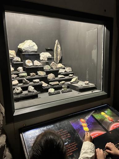 Smithsonian Natural History Museum