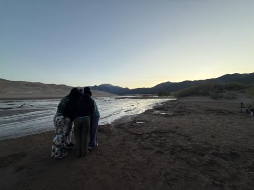 US Interim - Art in the Wild 2025