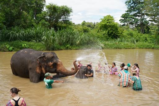 Thailand Elephant Service & Explorers (June 25-July 4)