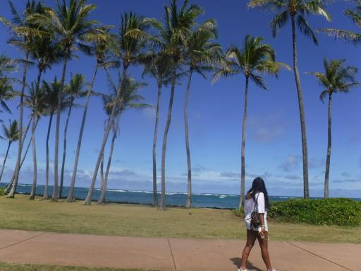 Day 4 - Kauai Travel Day and Biking