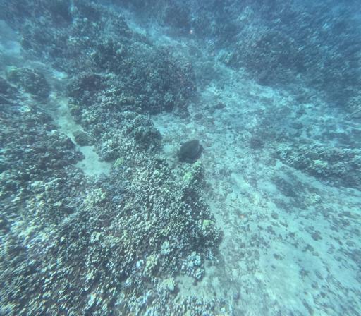 Day 6 - Service and Sand Volleyball