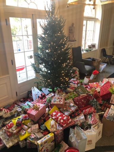 LS Christmas Toy Drive