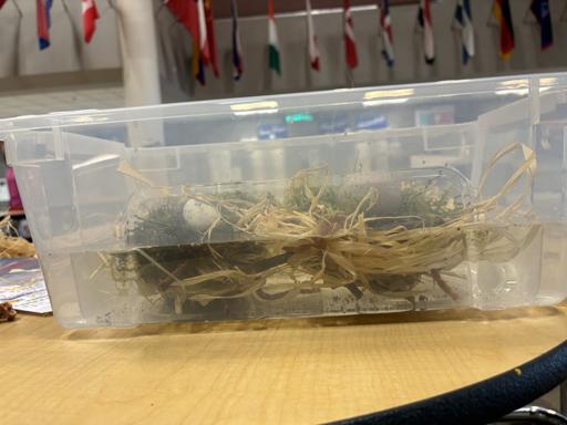 Meeker Middle School