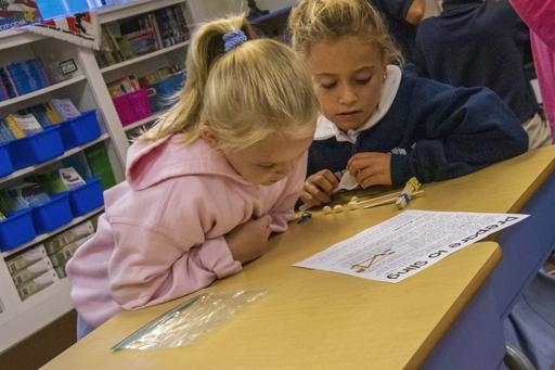 Power of Reading Catapult Activity (Grade 3)