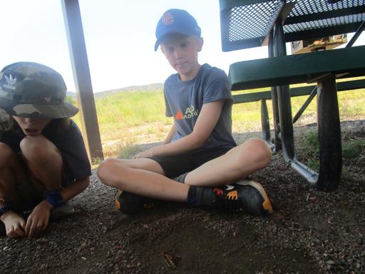 Survival Skills 5th-7th