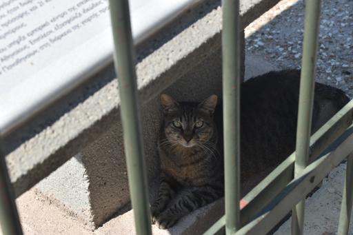 Europe for Older Teens: Greece Island Hopping 3 (July 20 - August 1)